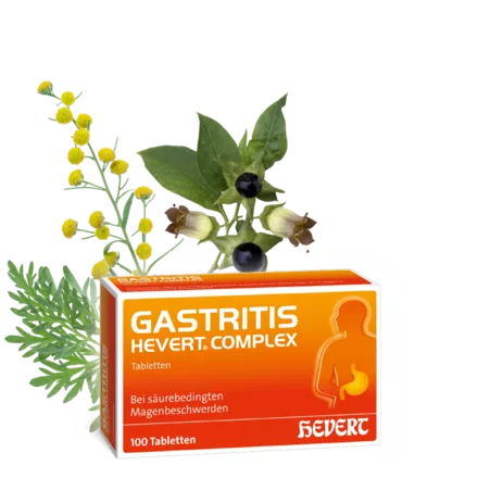 Gastritis Hevert Complex bei säurebedingten Magenbeschwerden 100 Tabletten